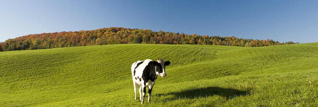 ¾ÅÖÝ¿áÓÎ(¿áÓΡ¤kuÓÎ)¹Ù·½ÍøÕ¾