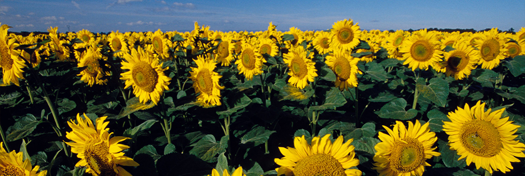 ¾ÅÖÝ¿áÓÎ(¿áÓΡ¤kuÓÎ)¹Ù·½ÍøÕ¾